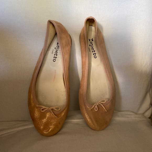 Repetto Rare Cendrillon Flats - Picture 1 of 5